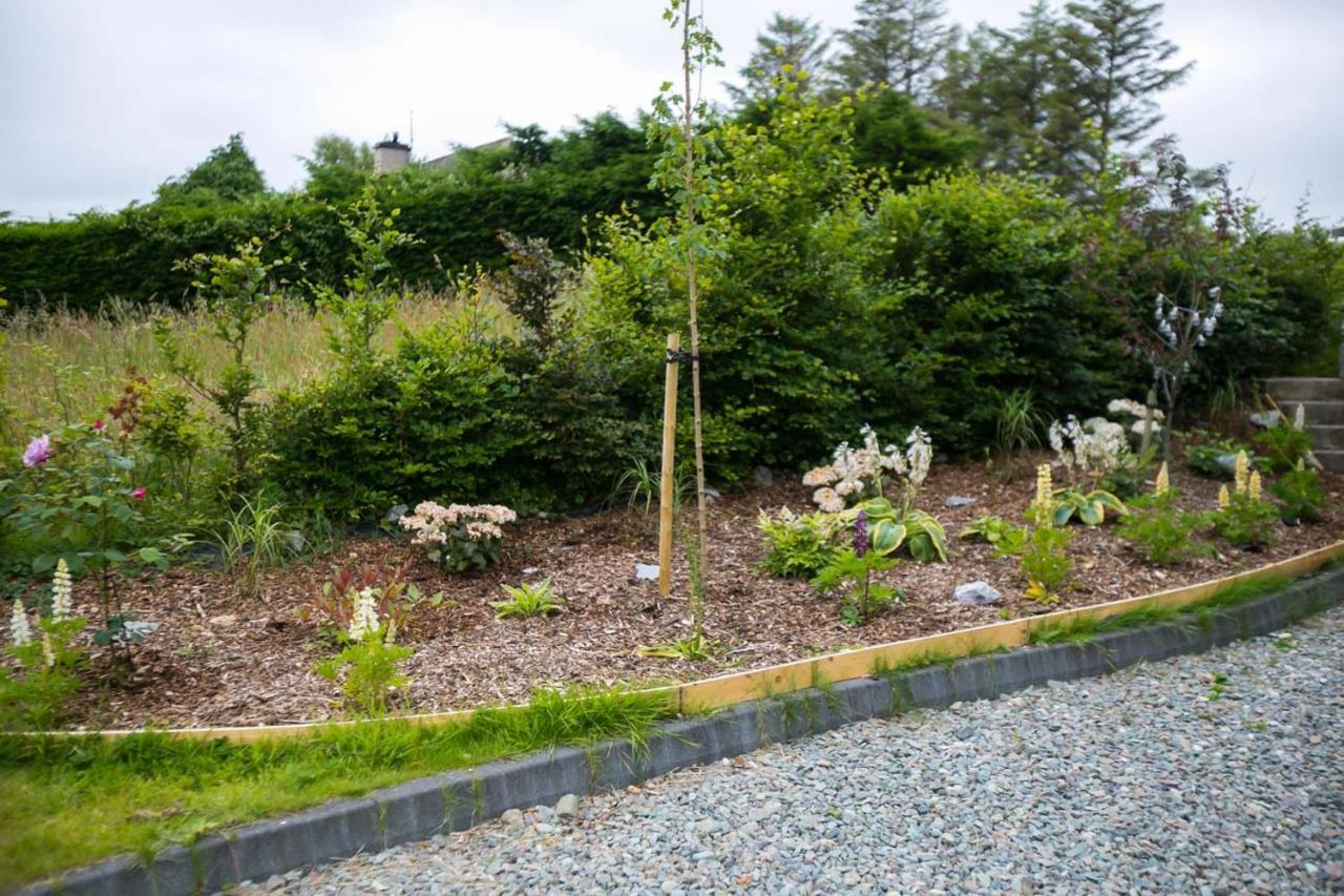 The Paddocks Cabin - Stylish, Cozy & Private Killarney Exterior foto